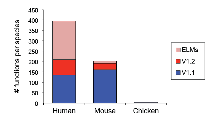 Functions v1.2 byspecies.png