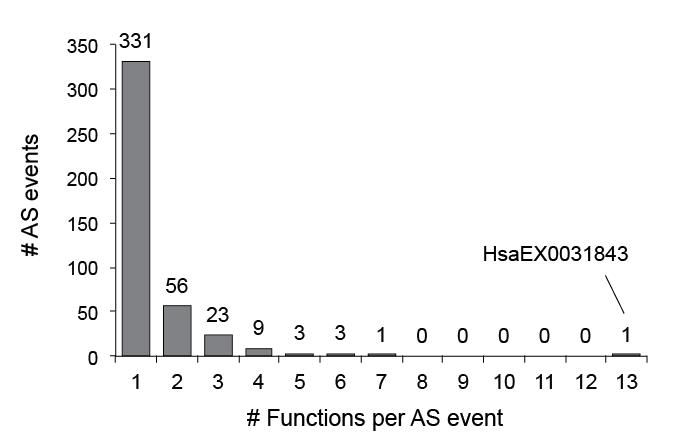 Functions v1.2 byevent.png