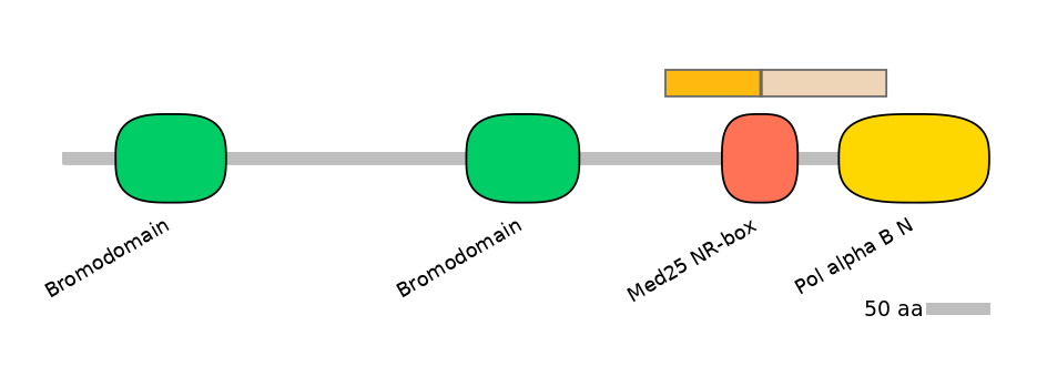 BtaALTA0004601-2_2-INC