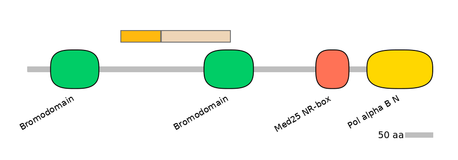 BtaALTA0004603-1_2-EXC