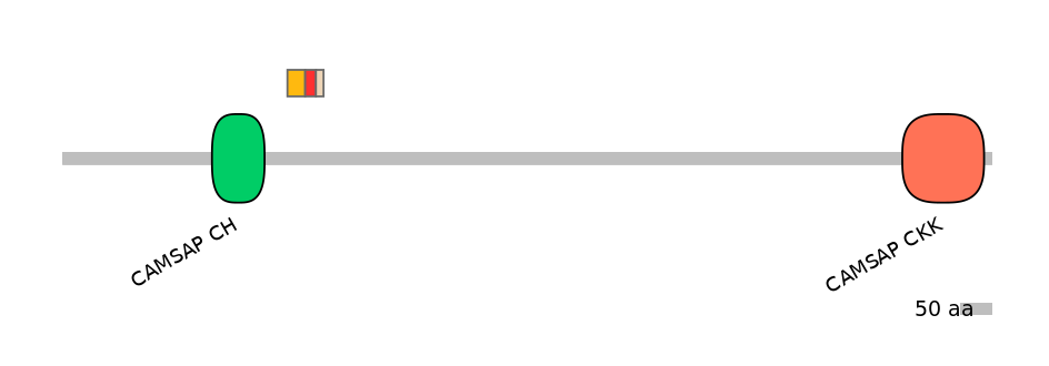 BtaALTA0005522-2_2-EXC