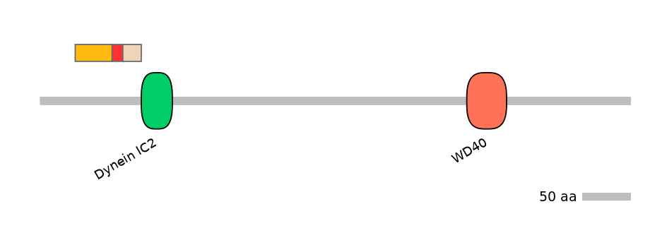 BtaALTA0009941-2_3-INC