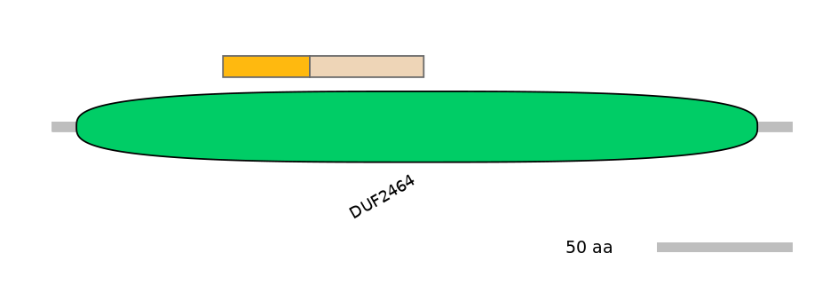 BtaALTA0018987-1_2-EXC