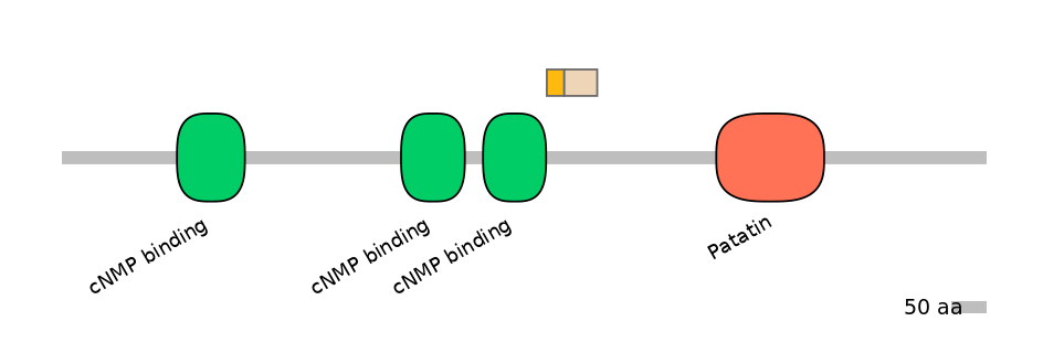 BtaALTA0022762-2_2-EXC