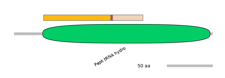 BtaALTA0024054-8_8-EXC