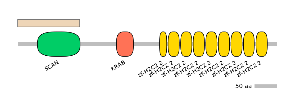 BtaALTA0033873-1_2-EXC