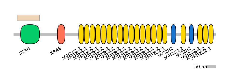 BtaALTA0033873-2_2-EXC