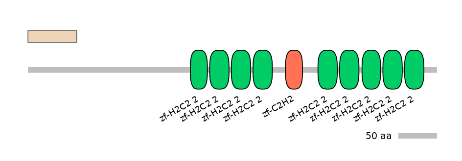 BtaALTA0033972-2_2-EXC
