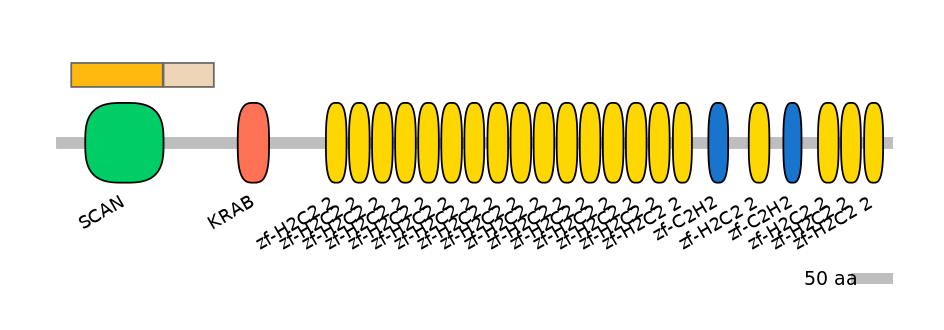 BtaALTD0024707-2_2-EXC
