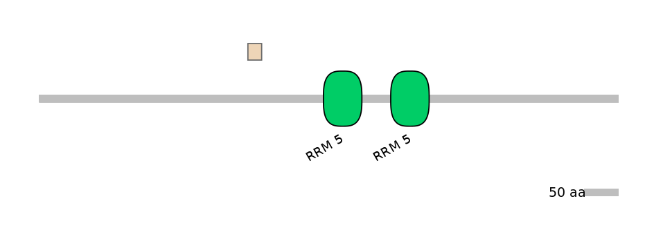 BtaEX0000255-EXC