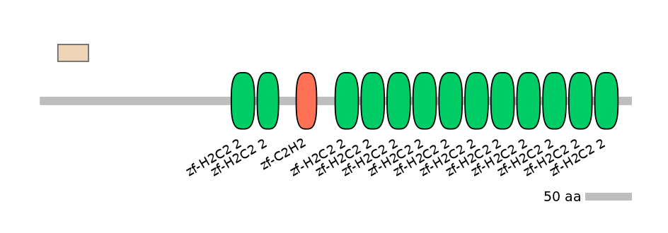 BtaEX0000585-EXC