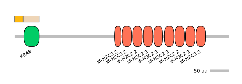 BtaEX0001282-EXC