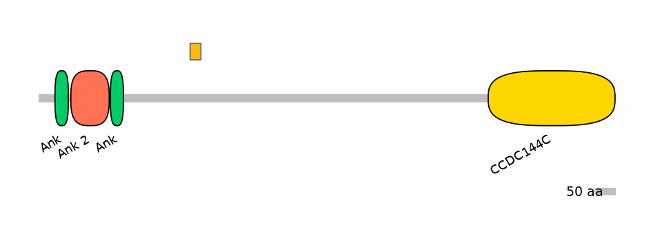 BtaEX0001325-EXC