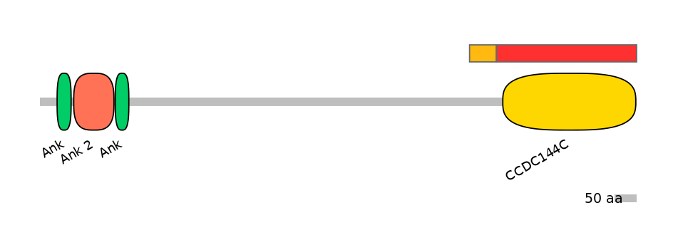 BtaEX0001334-INC