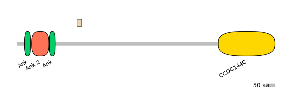 BtaEX0001343-EXC