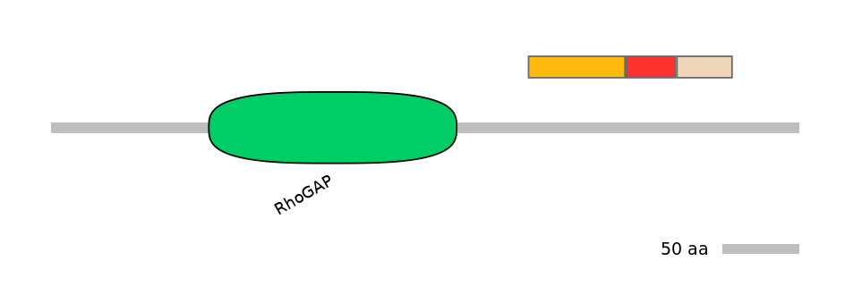 BtaEX0001366-INC