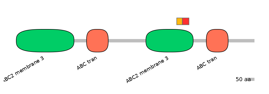 BtaEX0001681-INC