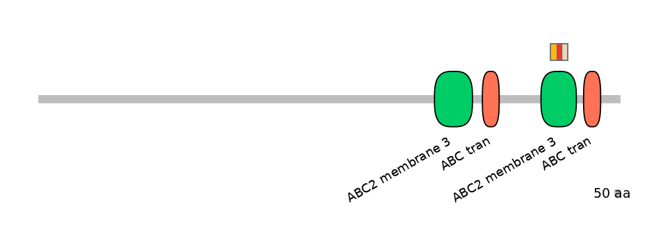 BtaEX0001684-INC