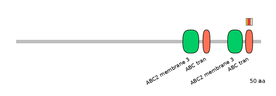 BtaEX0001685-INC
