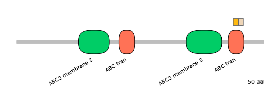 BtaEX0001694-EXC