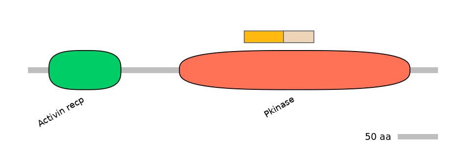BtaEX0002322-EXC