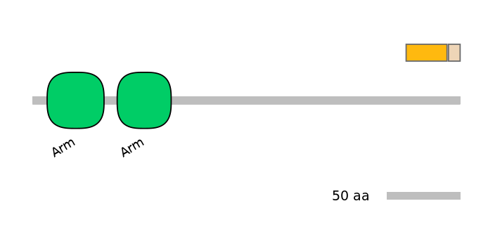 BtaEX0004465-EXC