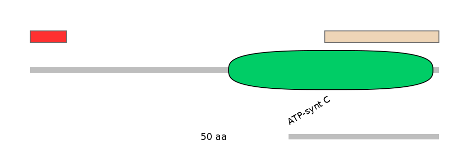 BtaEX0004958-INC
