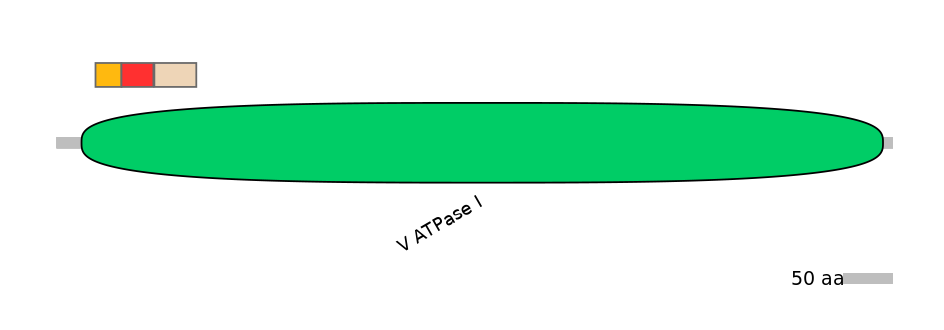 BtaEX0004971-INC