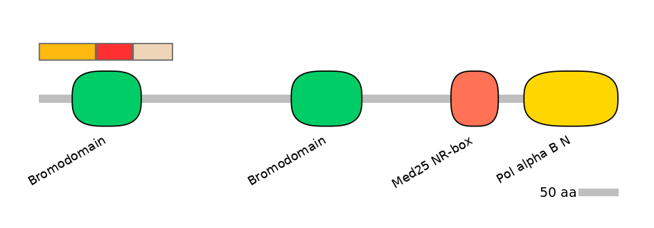 BtaEX0005729-INC
