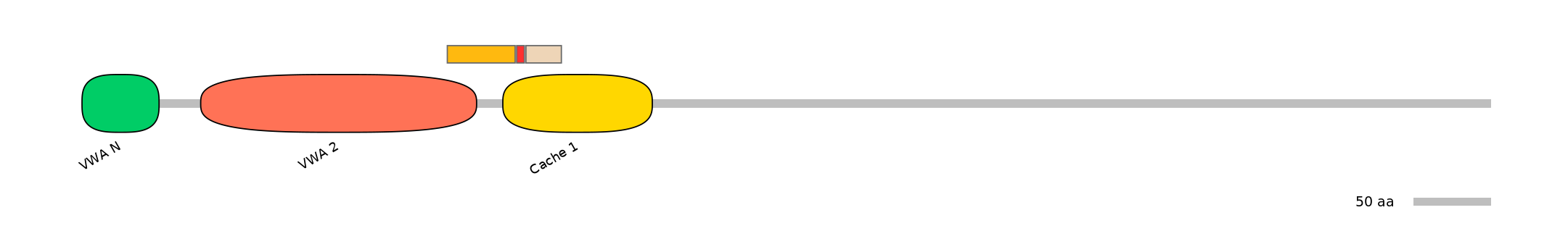 BtaEX0006799-INC