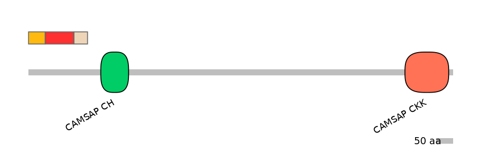 BtaEX0006956-INC