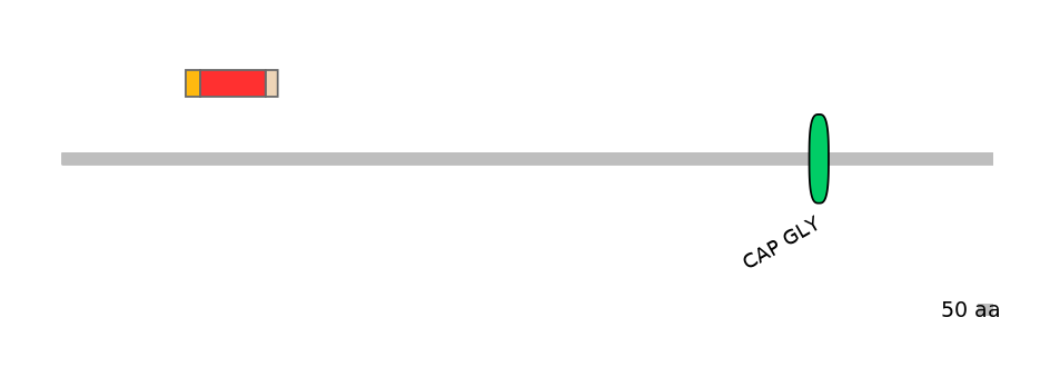 BtaEX0008538-INC