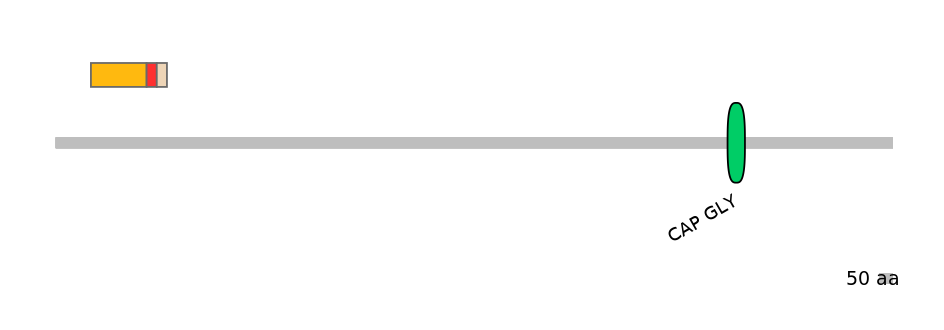 BtaEX0008543-INC