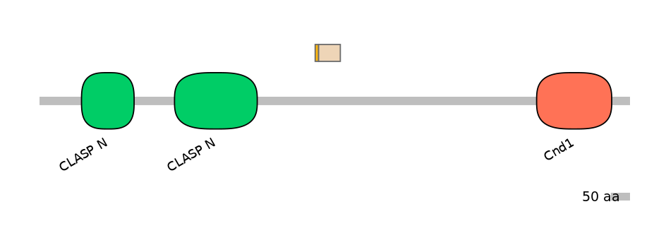 BtaEX0009138-EXC