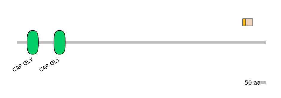 BtaEX0009239-EXC