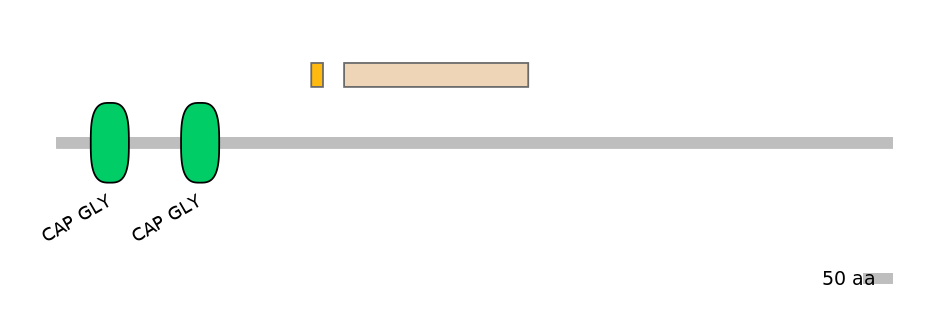 BtaEX0009243-EXC