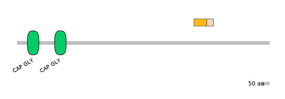 BtaEX0009245-EXC