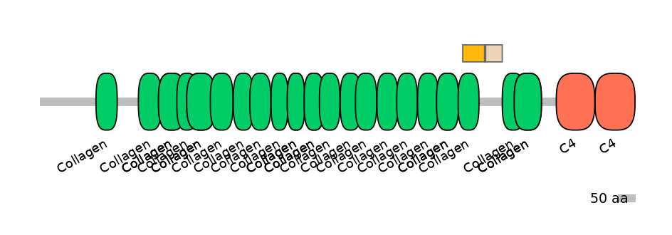 BtaEX0009706-INC