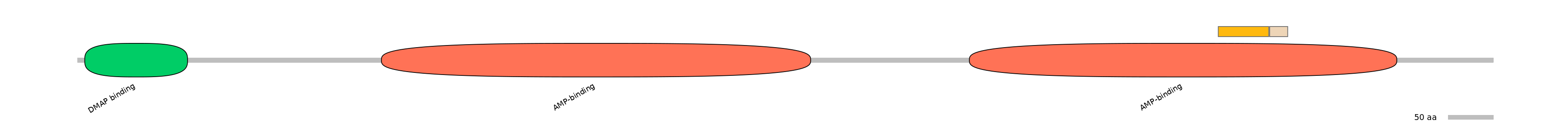 BtaEX0011361-EXC