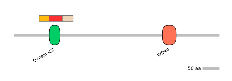 BtaEX0012219-INC