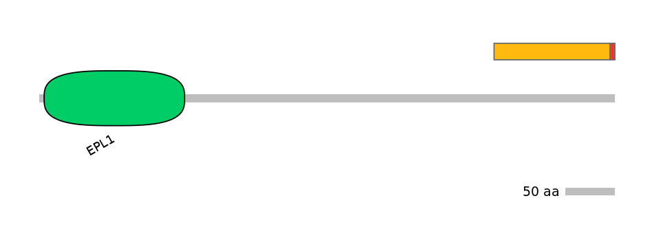 BtaEX0013028-INC