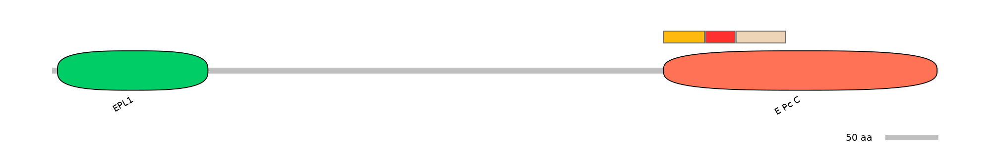 BtaEX0013029-INC