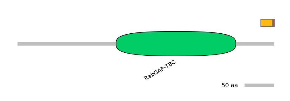 BtaEX0013415-INC