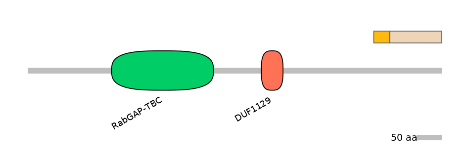 BtaEX0013417-EXC