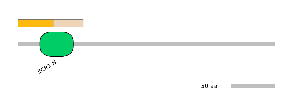 BtaEX0013532-EXC