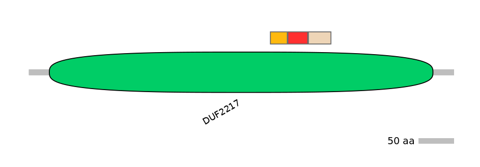 BtaEX0014040-INC