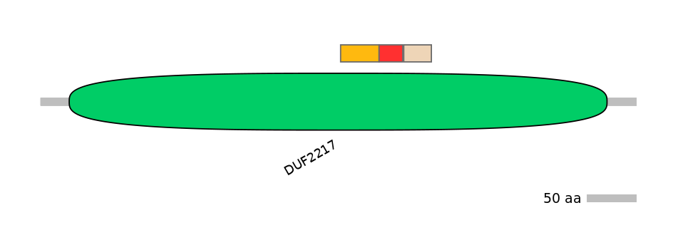 BtaEX0014044-INC