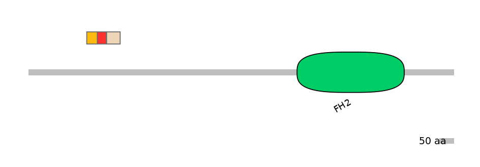 BtaEX0014621-INC