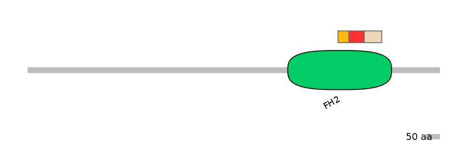 BtaEX0014624-INC