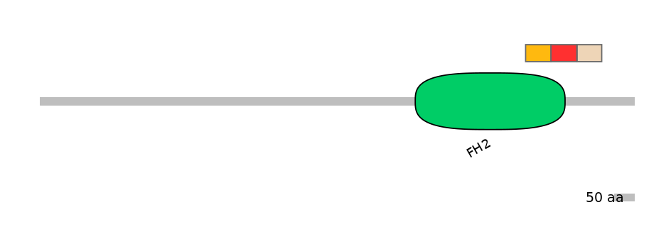 BtaEX0014625-INC
